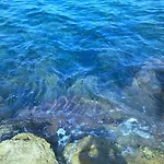 A 100 M Dal Mare Holiday home